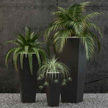 现代绿植盆栽-模型ID【507634】