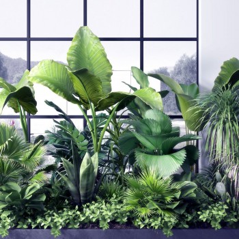 现代户外植物-模型ID【508424】