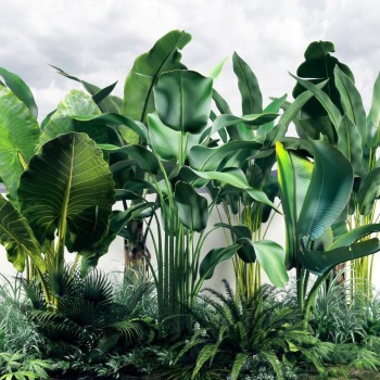 现代户外植物绿草组合-模型ID【508423】