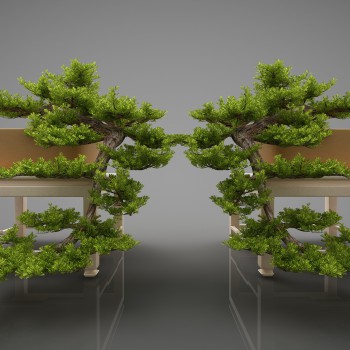 现代绿植盆栽组合-模型ID【509070】
