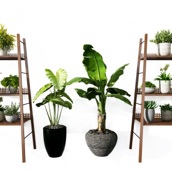现代花架绿植盆栽组合-模型ID【511085】