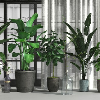 北欧绿植盆栽组合-模型ID【511369】