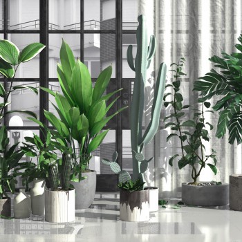 北欧绿植盆栽组合-模型ID【511371】