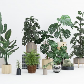 现代绿植盆栽组合-模型ID【511381】