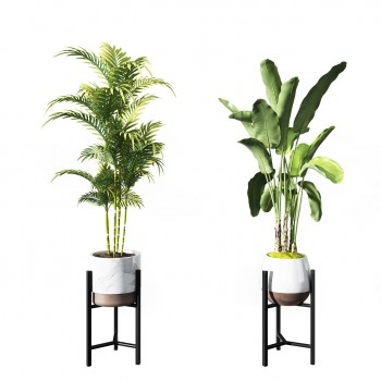 现代绿植盆栽组合-模型ID【511439】