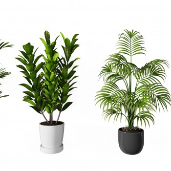 现代绿植盆栽组合-模型ID【513668】