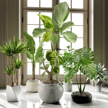 现代绿植盆栽组合-模型ID【519541】