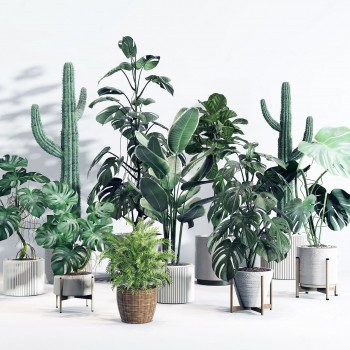 现代绿植盆栽组合-模型ID【521432】