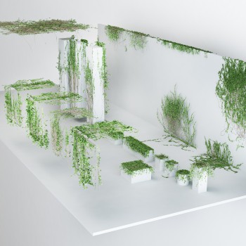现代爬墙虎植物蔓藤组合-模型ID【522406】