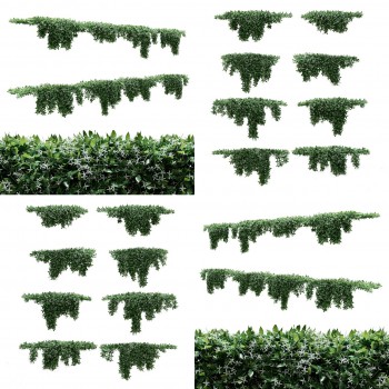 现代藤蔓植物爬山虎组合-模型ID【523578】
