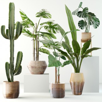 现代绿植盆栽组合-模型ID【524806】