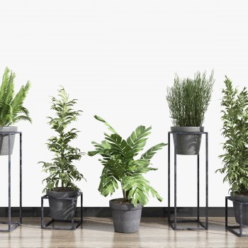 北欧绿植盆栽组合-模型ID【525326】