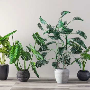 现代绿植盆栽组合-模型ID【525440】