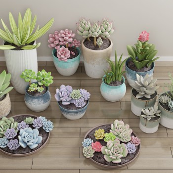 现代多肉绿植盆栽组合-模型ID【525505】