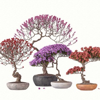 现代花草盆栽组合-模型ID【526318】