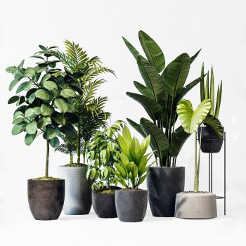 现代绿植盆栽组合-模型ID【526801】