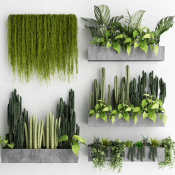 现代植物墙组合-模型ID【533806】