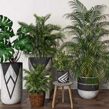 现代绿植盆栽组合-模型ID【534840】