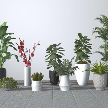 现代绿植盆栽组合-模型ID【535640】