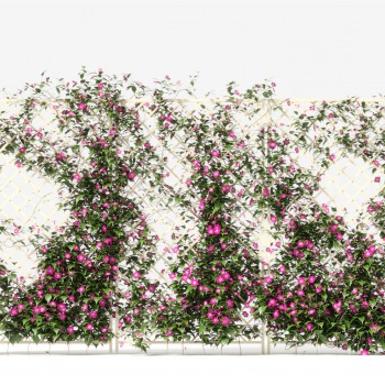 现代植物墙-模型ID【537559】