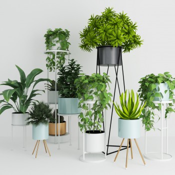 现代绿植盆栽组合-模型ID【537726】