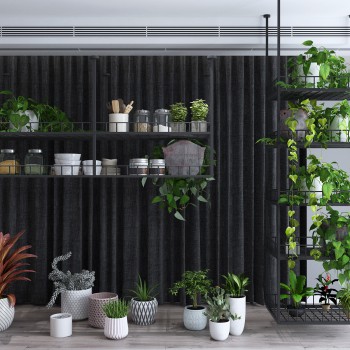 现代绿植盆栽组合-模型ID【538105】