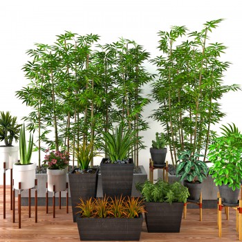 现代绿植盆栽竹子组合-模型ID【538617】