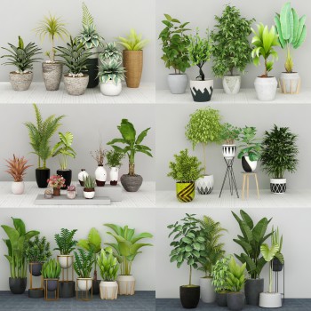 现代绿植盆栽组合-模型ID【546627】