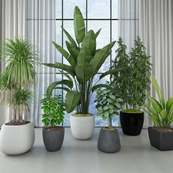 现代绿植盆栽组合-模型ID【546759】