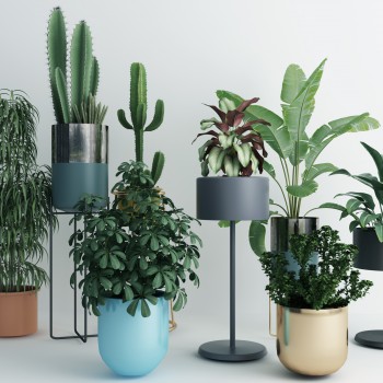 现代绿植盆栽组合-模型ID【546799】