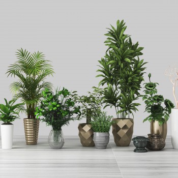 现代绿植盆栽-模型ID【548705】