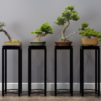 新中式花架盆景组合-模型ID【550591】