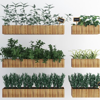现代绿植盆栽组合-模型ID【553963】