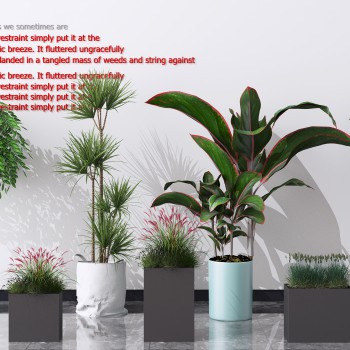 现代绿植盆栽组合-模型ID【554371】
