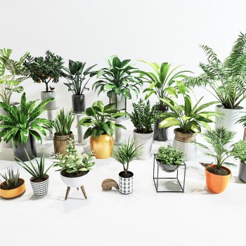 现代绿植盆栽-模型ID【566190】