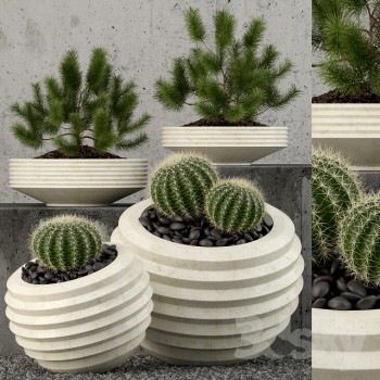 现代绿植盆栽-模型ID【568848】