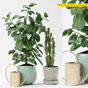 现代绿植盆栽-模型ID【568850】