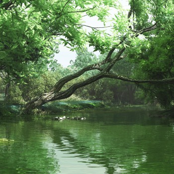 现代原生态湿地景观-3D模型,ID【840718】 现代原生态湿地景观-模型ID【840718】