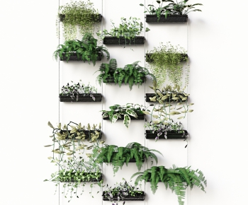 Modern Plant Wall-ID:709404464
