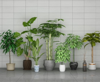 Modern Potted Green Plant-ID:101350782