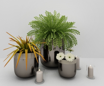 Modern Potted Green Plant-ID:543552459