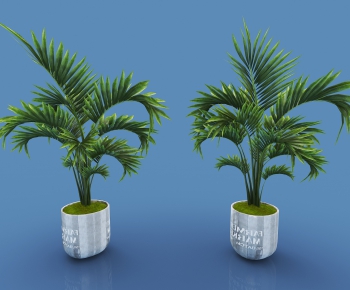 Modern Potted Green Plant-ID:154292418