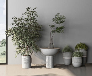 Modern Potted Green Plant-ID:997897998