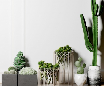 Modern Potted Green Plant-ID:465288519