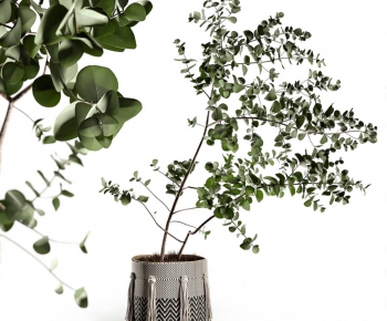 Modern Potted Green Plant-ID:976679998