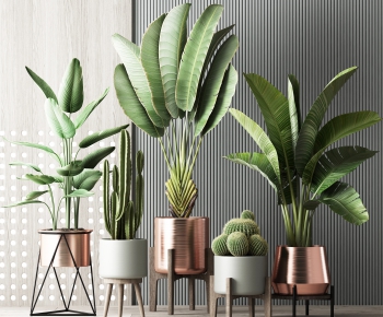 Modern Potted Green Plant-ID:804966528