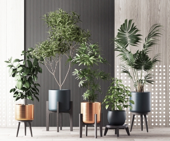 Modern Potted Green Plant-ID:797827536