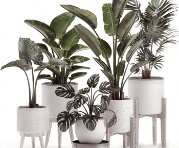 Modern Potted Green Plant-ID:734282255