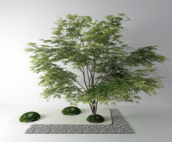 Modern Tree-ID:877517618