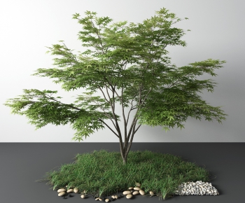 Modern Tree-ID:453924611